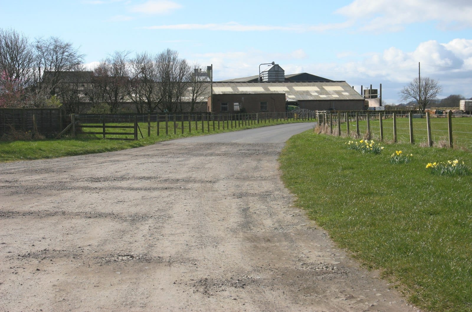 St. Andrews Farmhouse Cheese photo 2