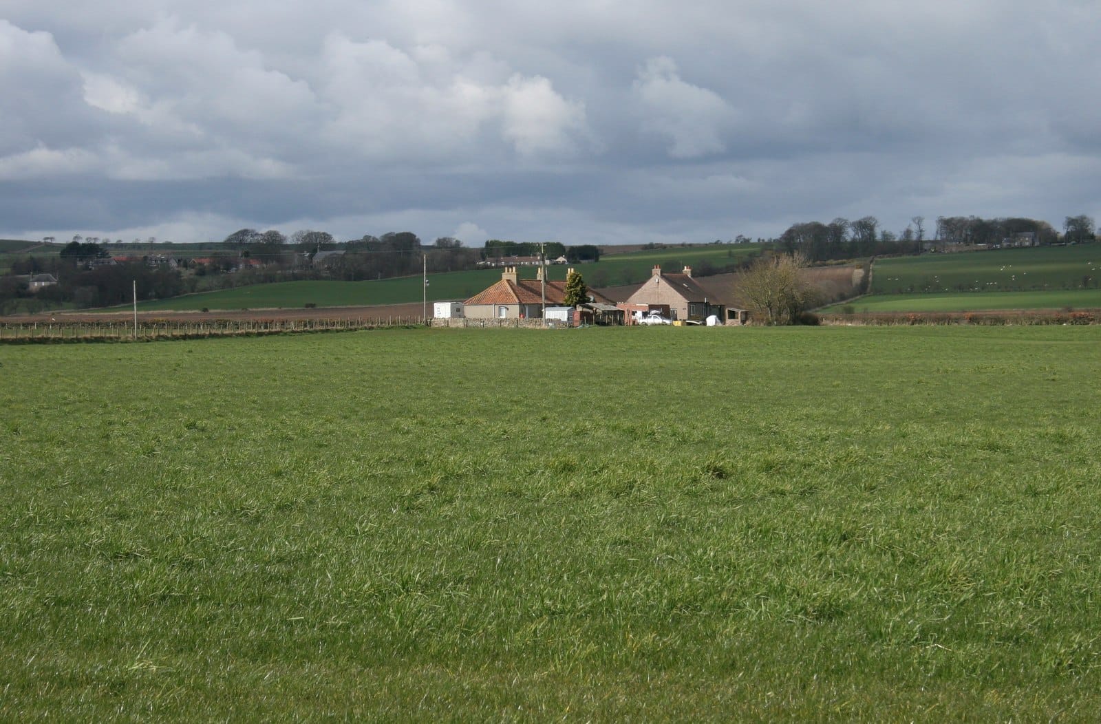St. Andrews Farmhouse Cheese photo 3