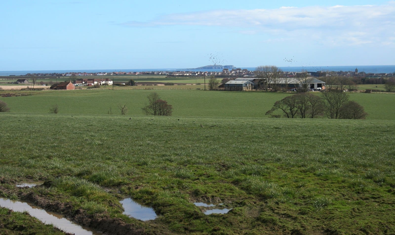 St. Andrews Farmhouse Cheese photo 4
