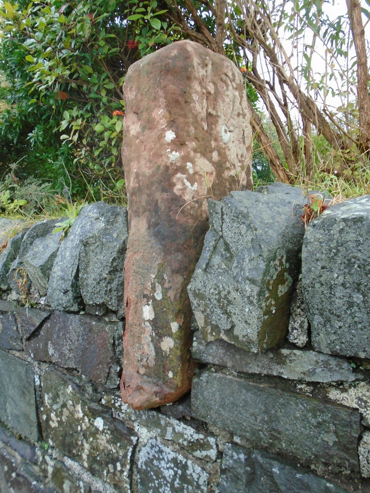 Skoosh photo 3