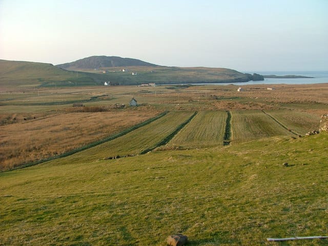Bûrr photo 4