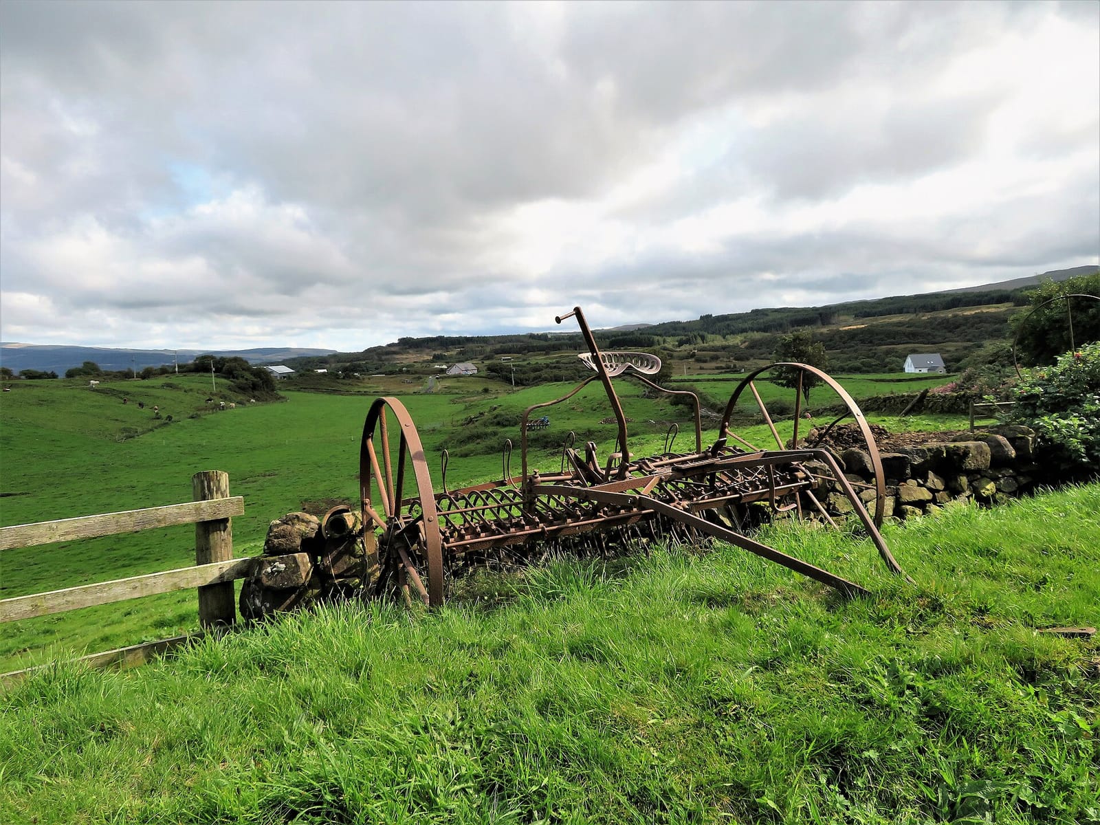 The Glass Barn - Isle of Mull Cheese photo 2