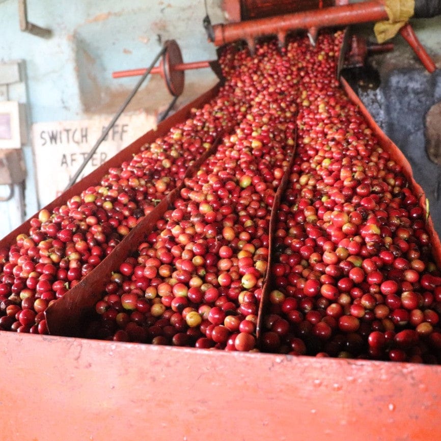 Williams & Johnson Coffee Co photo 7