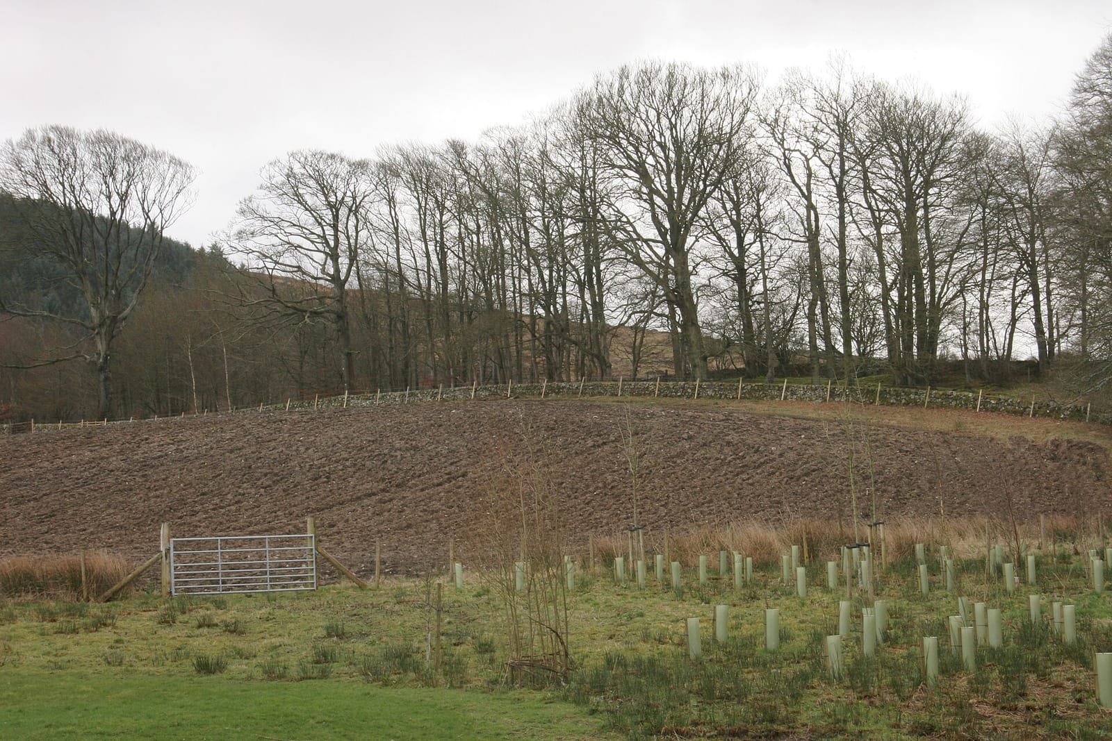 Loch Arthur Cafe photo 4