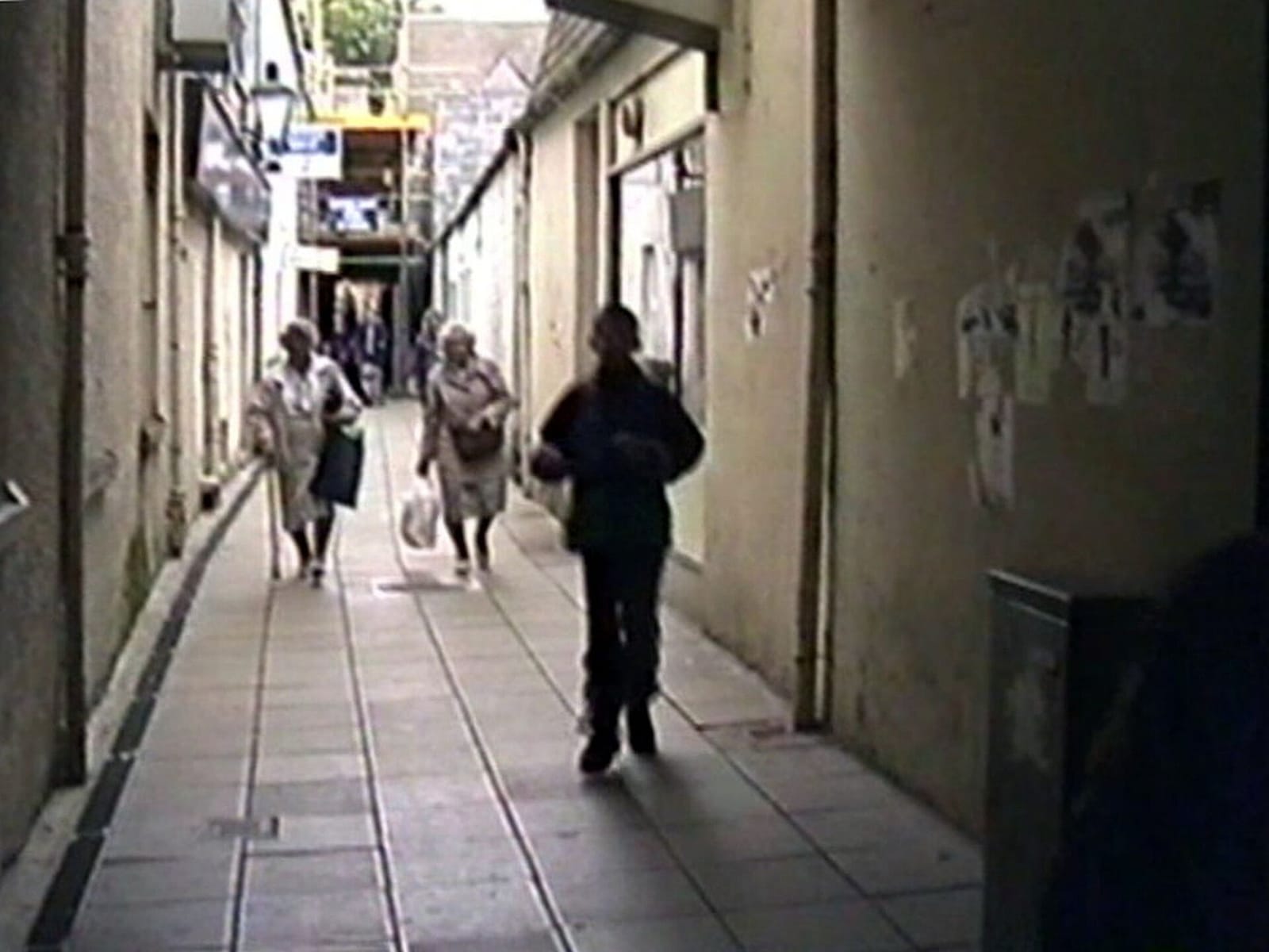 The Alleycat