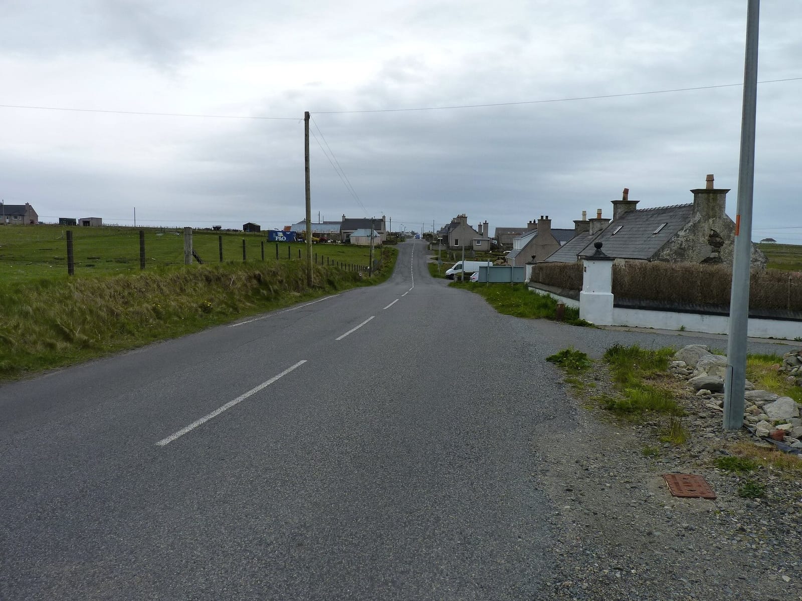 Wobbly Dog of Lewis