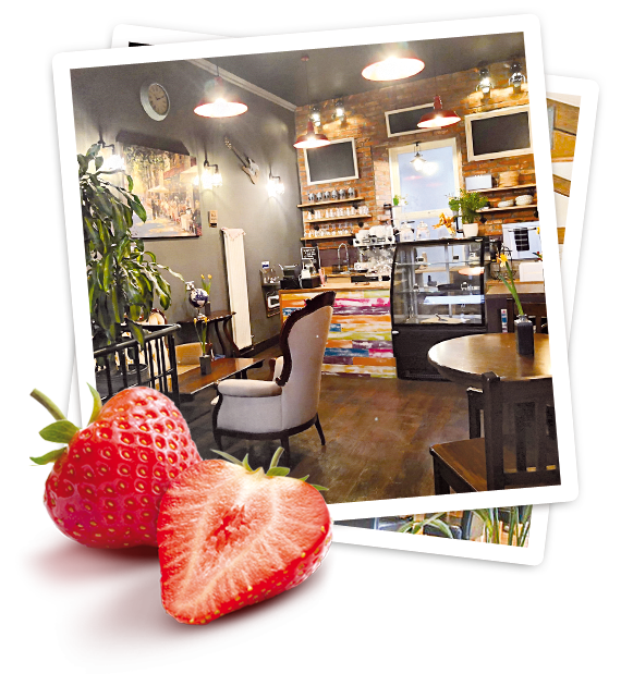 BioCafe photo 6