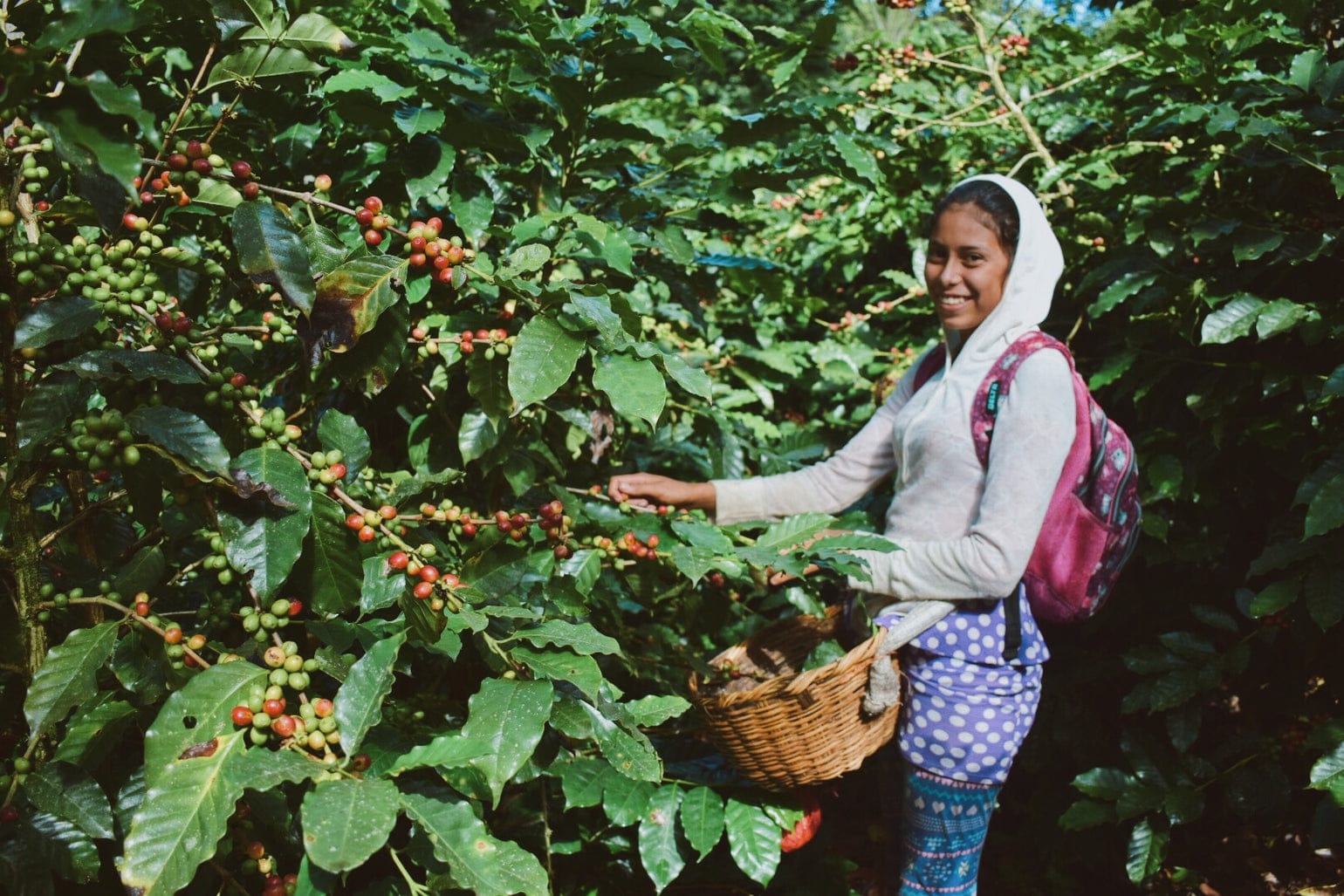 Lobos Coffee Roasters photo 6