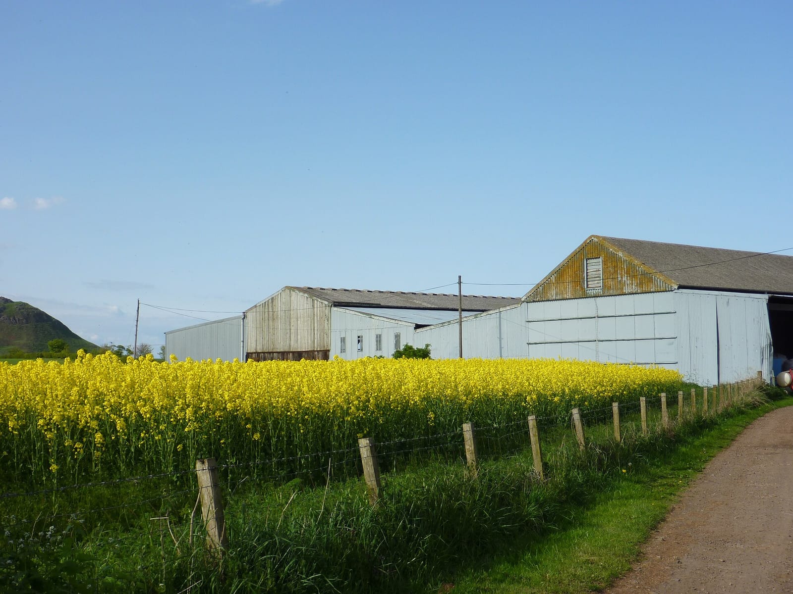 Balgone Estate