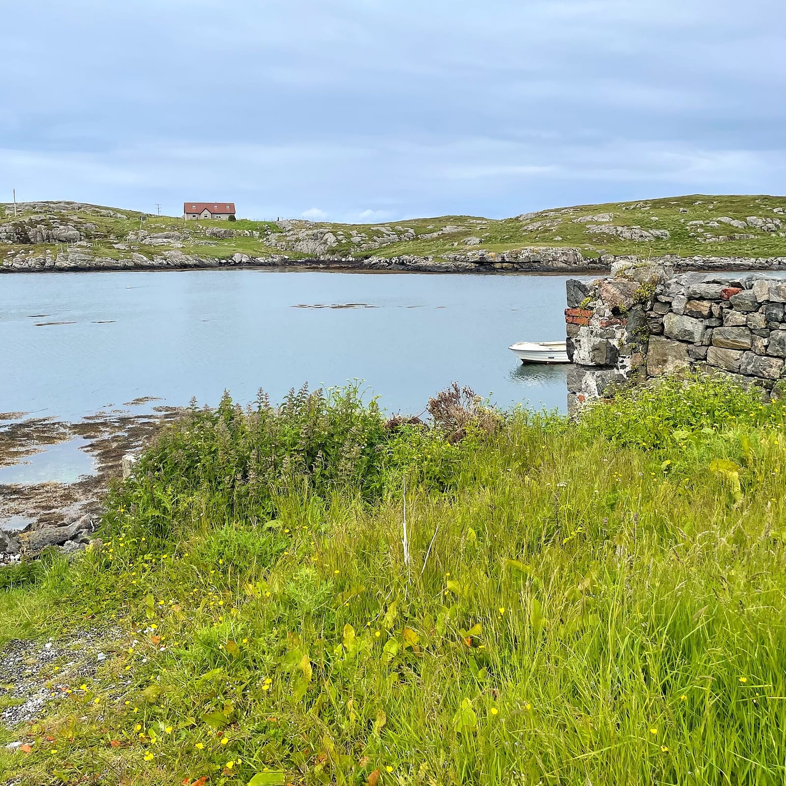 Gàradh a’ Bhàgh a’ Tuath