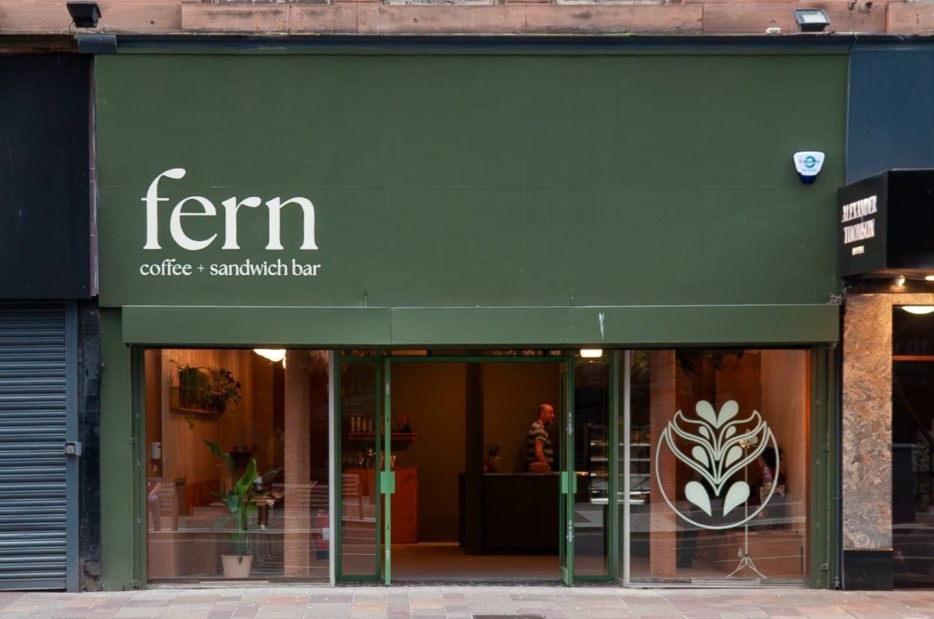 Fern photo 2