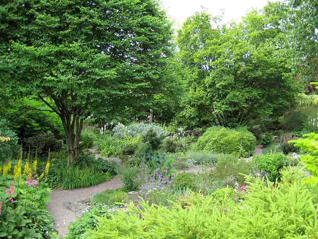Branklyn Gardens Tearoom photo 4