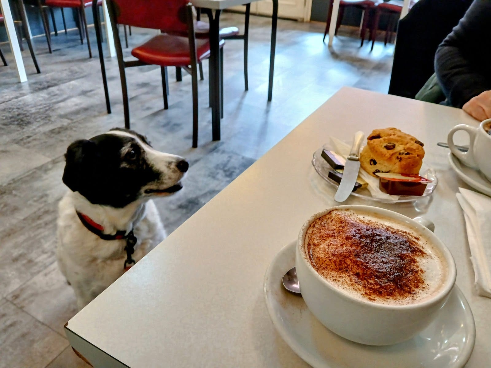 Cafe Torino