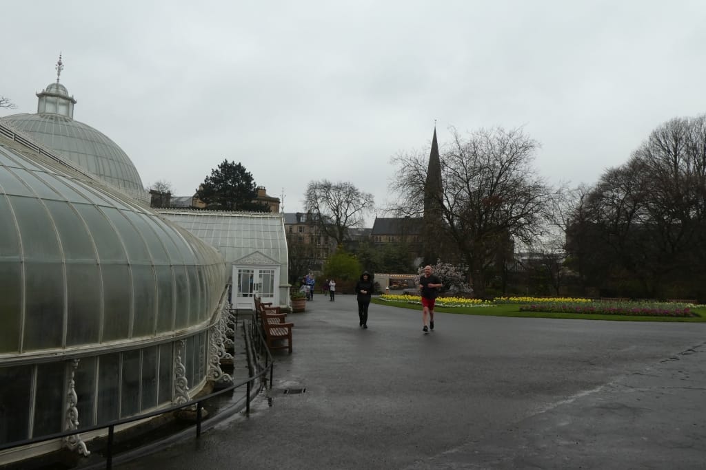 The Botanic Gardens Tearooms photo 3