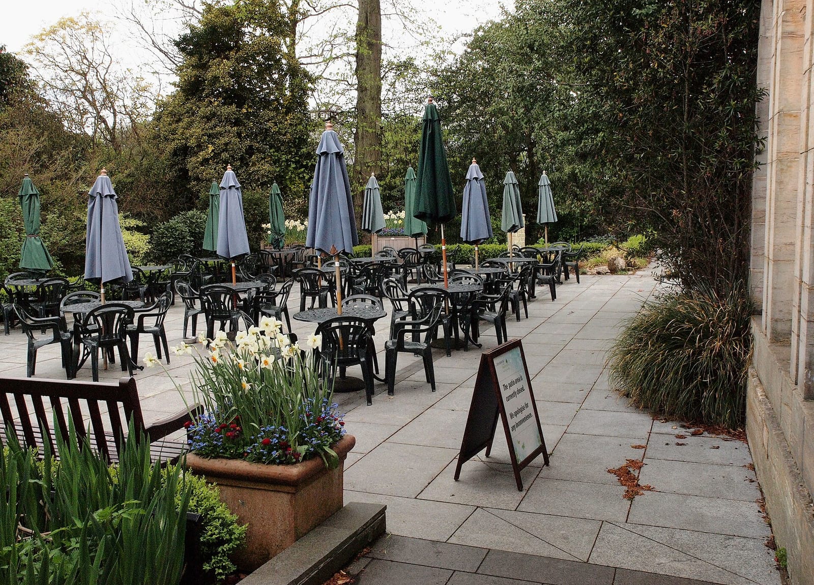 The Botanic Gardens Tearooms photo 2