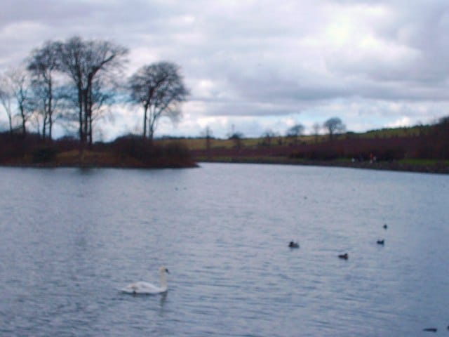 Waterside Cafe photo 4