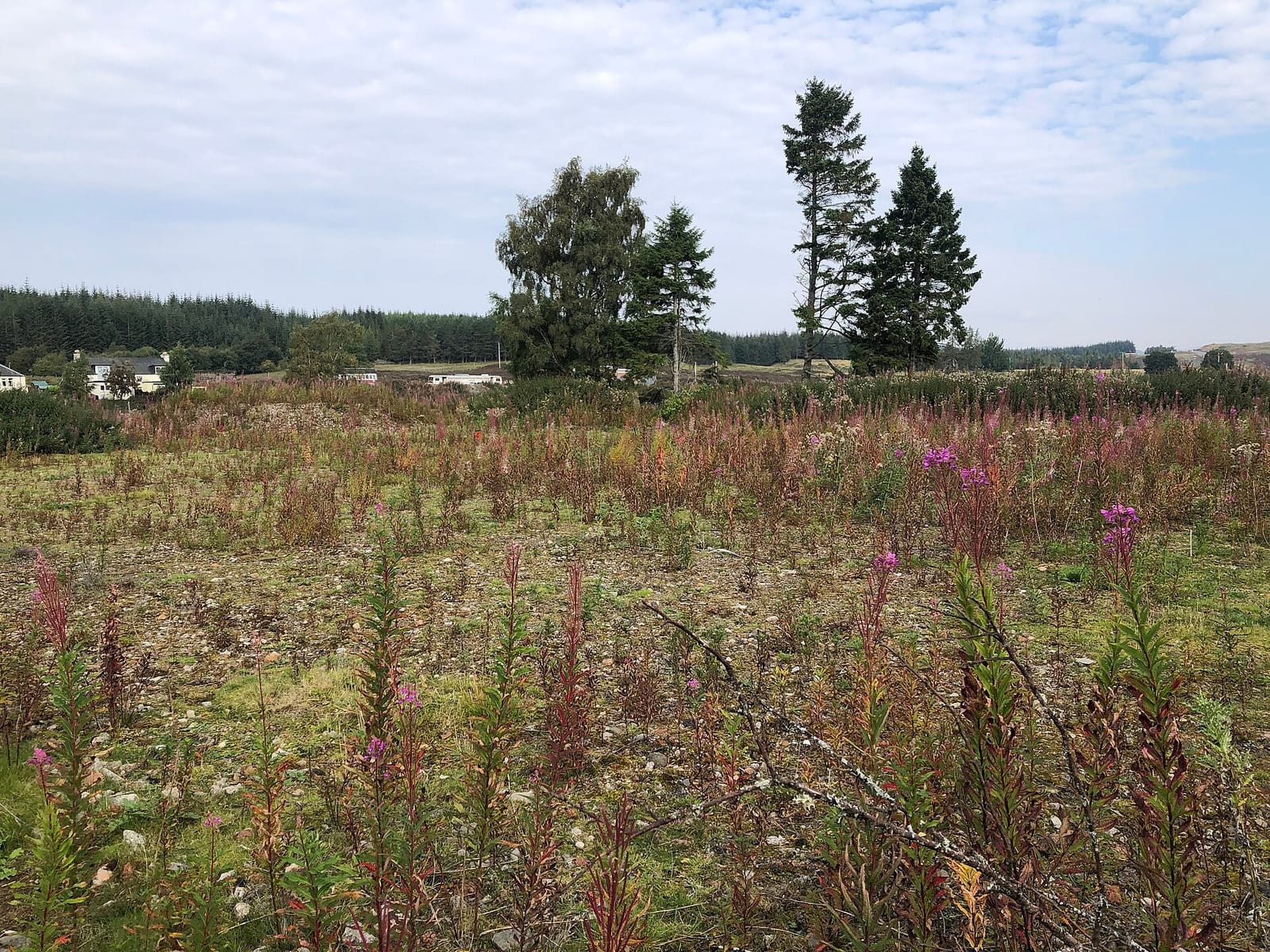 The Apiary photo 3