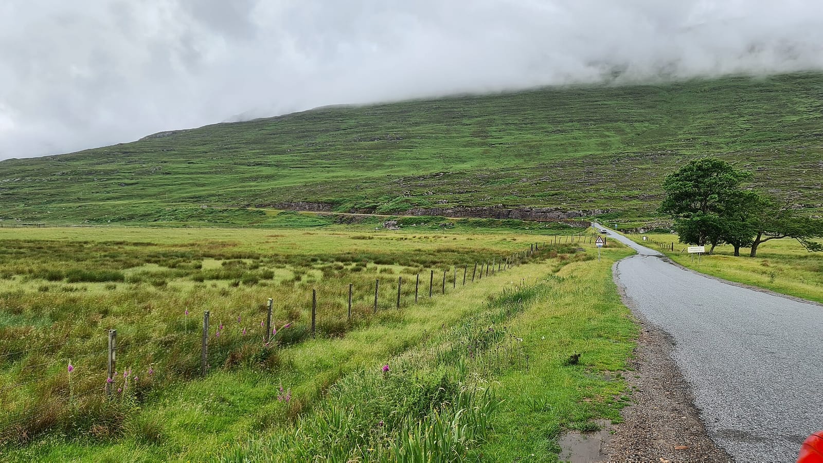 The Bealach Café & Gallery