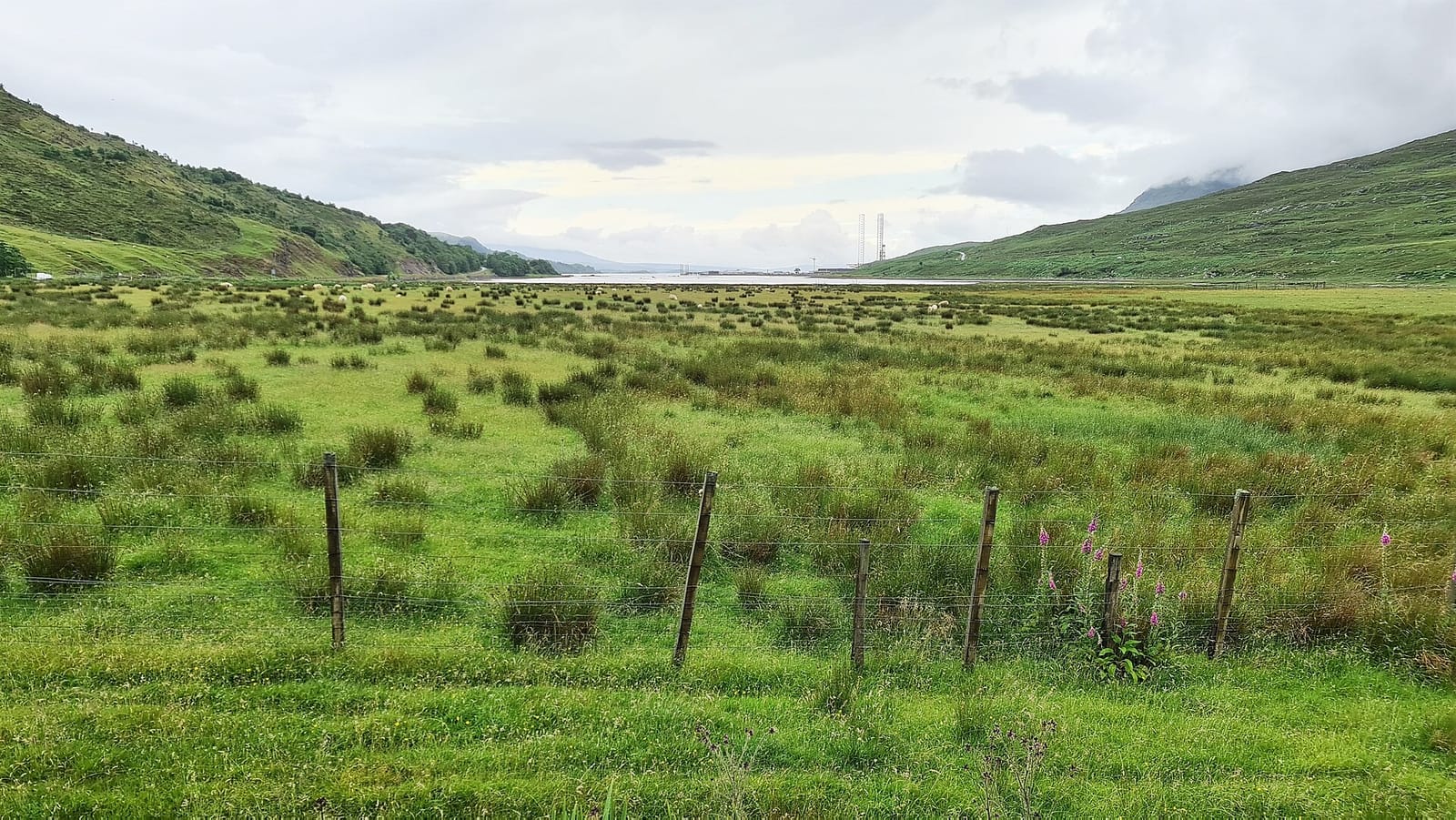 The Bealach Café & Gallery photo 2