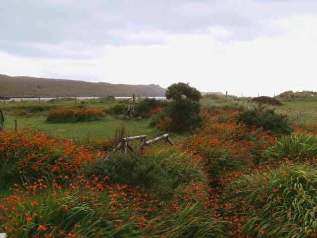 Cuillin Coffee Co photo 2