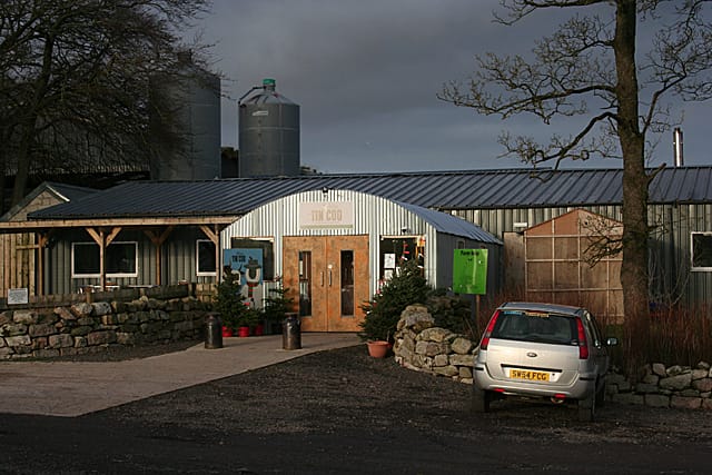 The Tin Coo