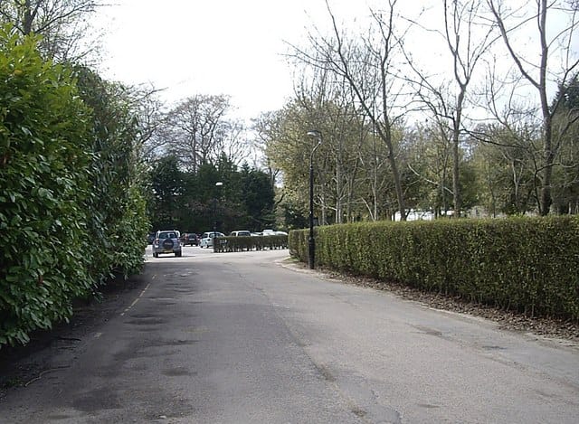 Park Café photo 3