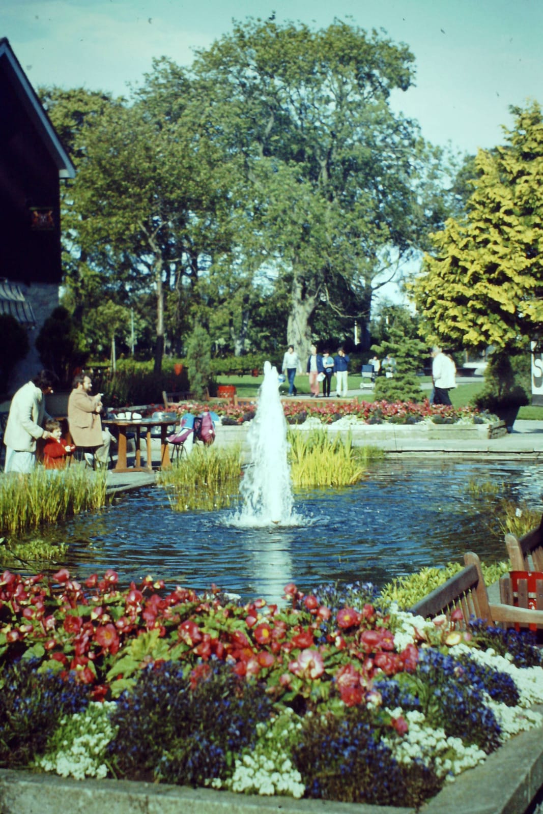 Park Café photo 2