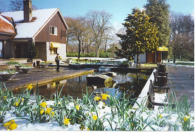 Park Café photo 4