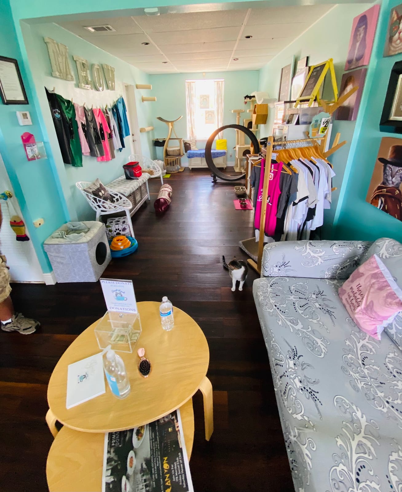 Good Luck Cat Cafe