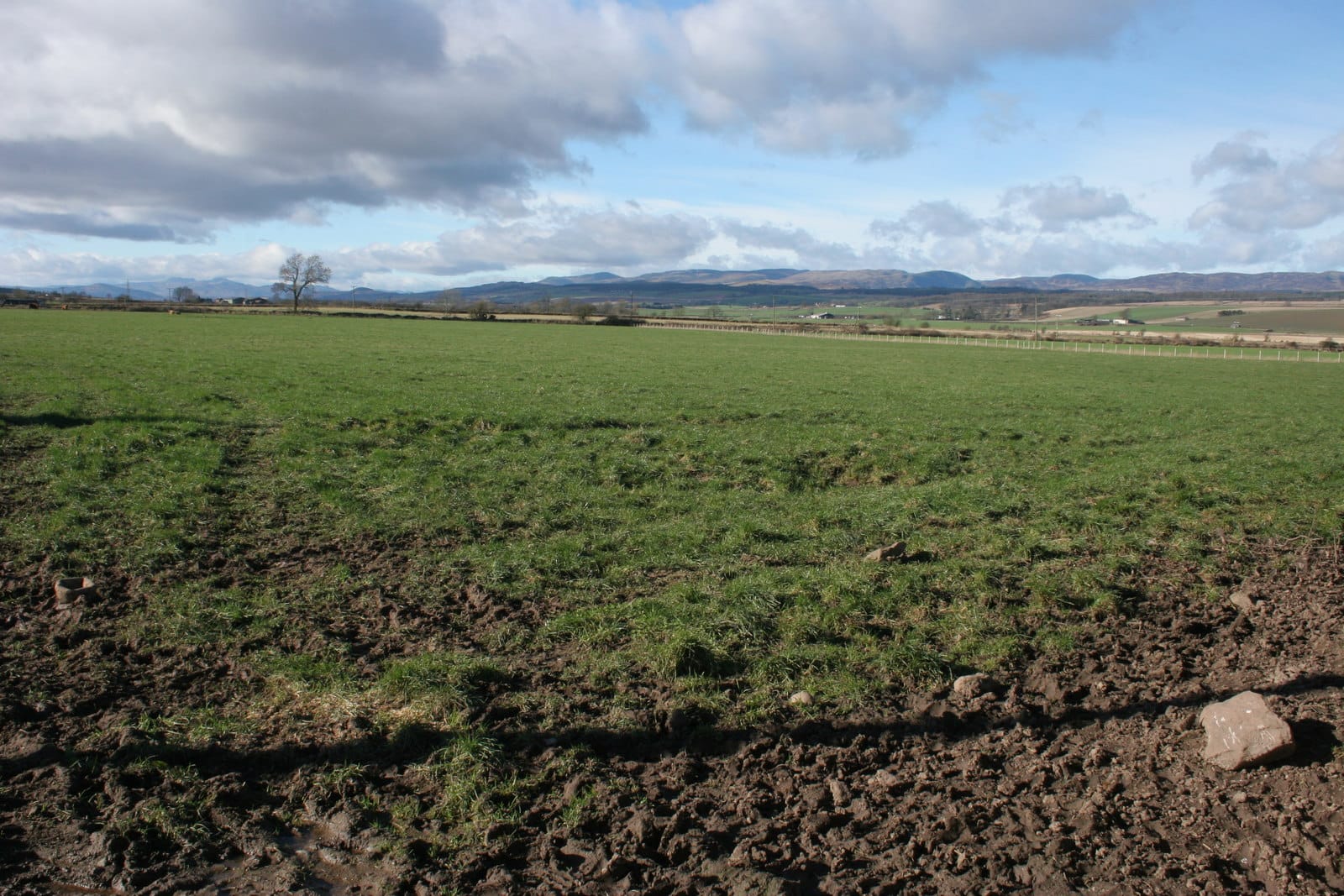 Gloagburn Farm Shop and Cafe photo 2