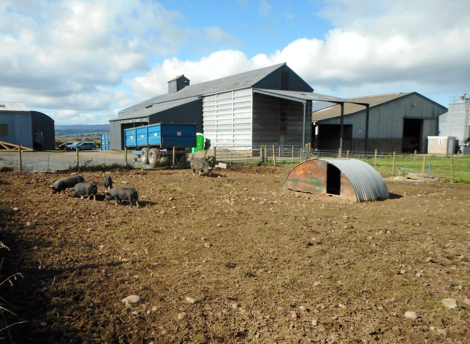Gloagburn Farm Shop and Cafe