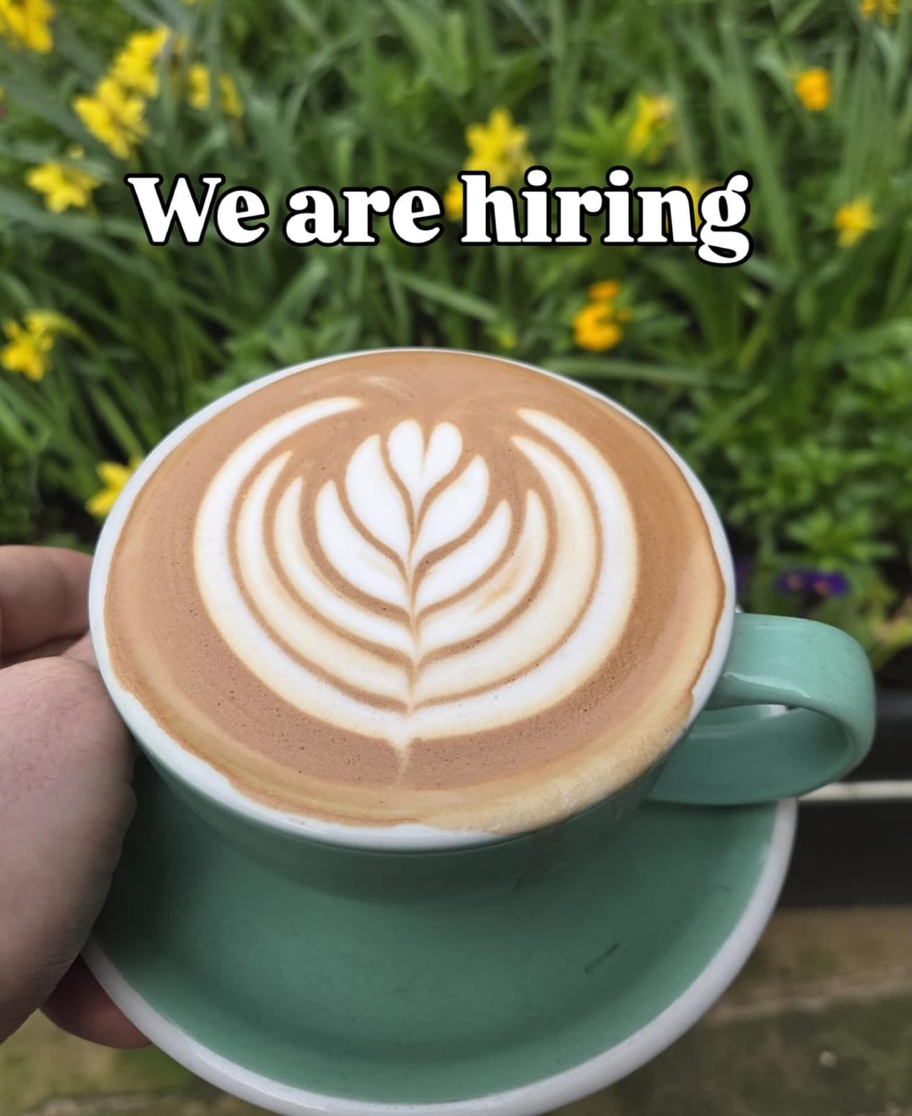 Ginger & Co. Coffee