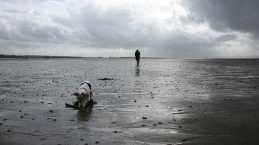 Brean Down Cafe photo 4