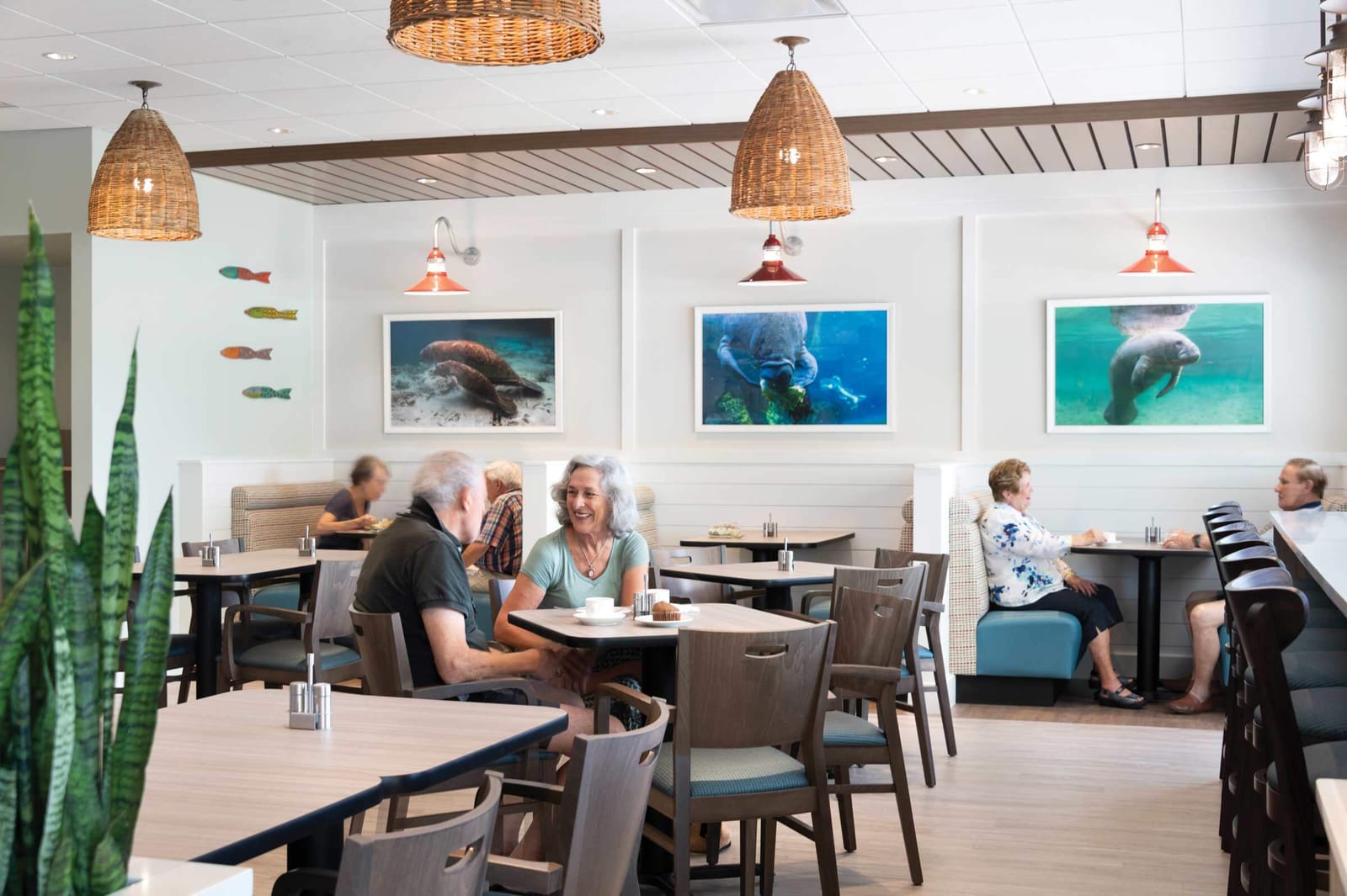 Island Café photo 7