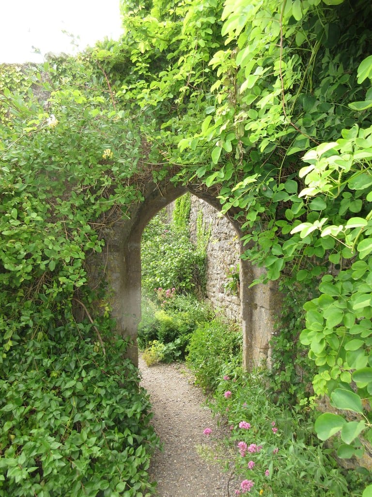 Walled Garden Cafe photo 3