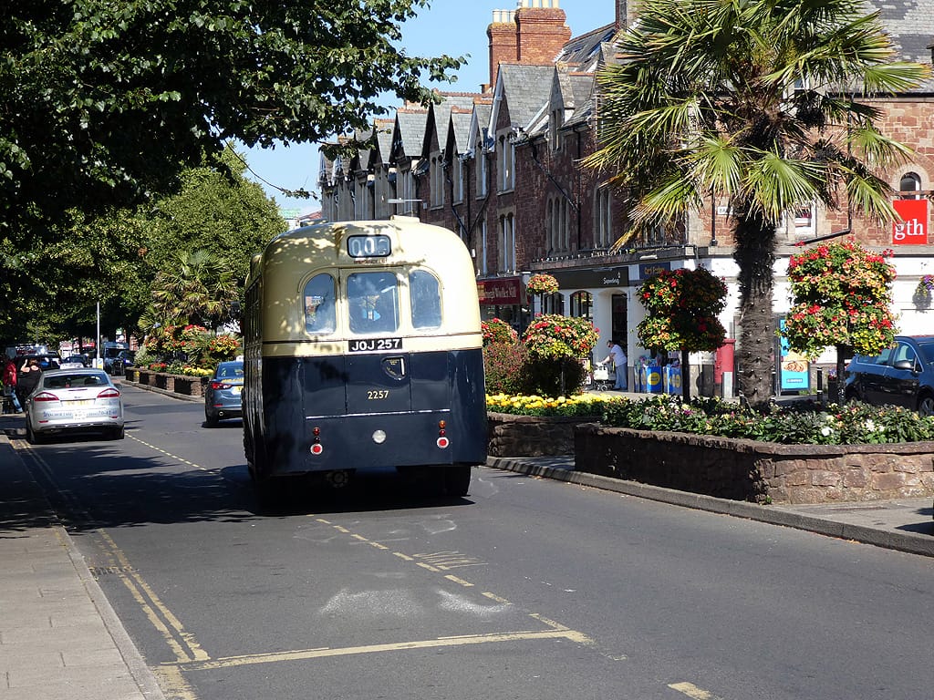 Costa photo 3