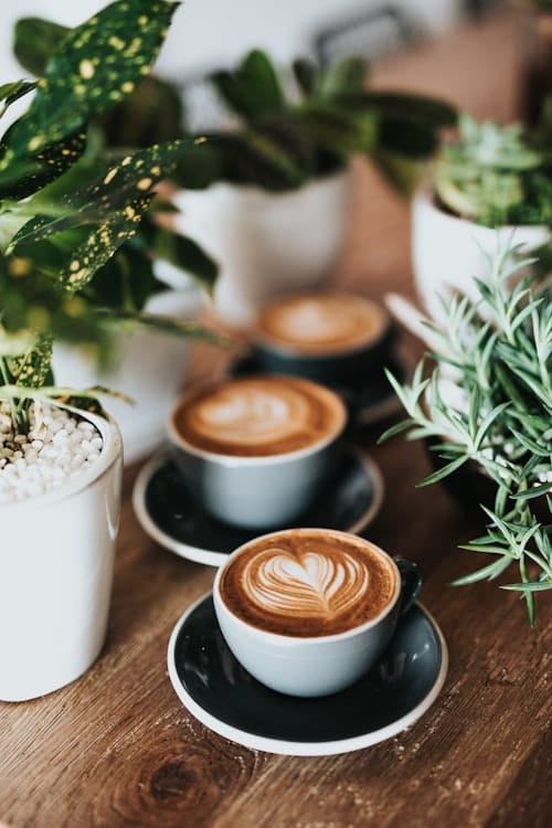 Coffee Lab photo 3