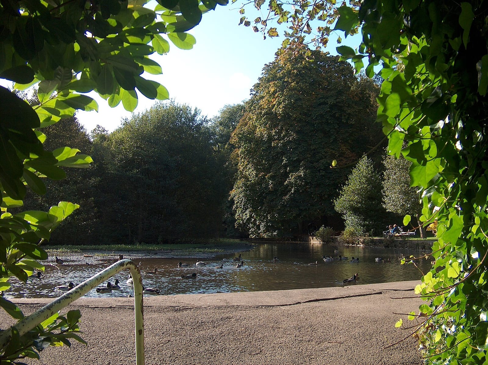 Forge Dam Cafe photo 2