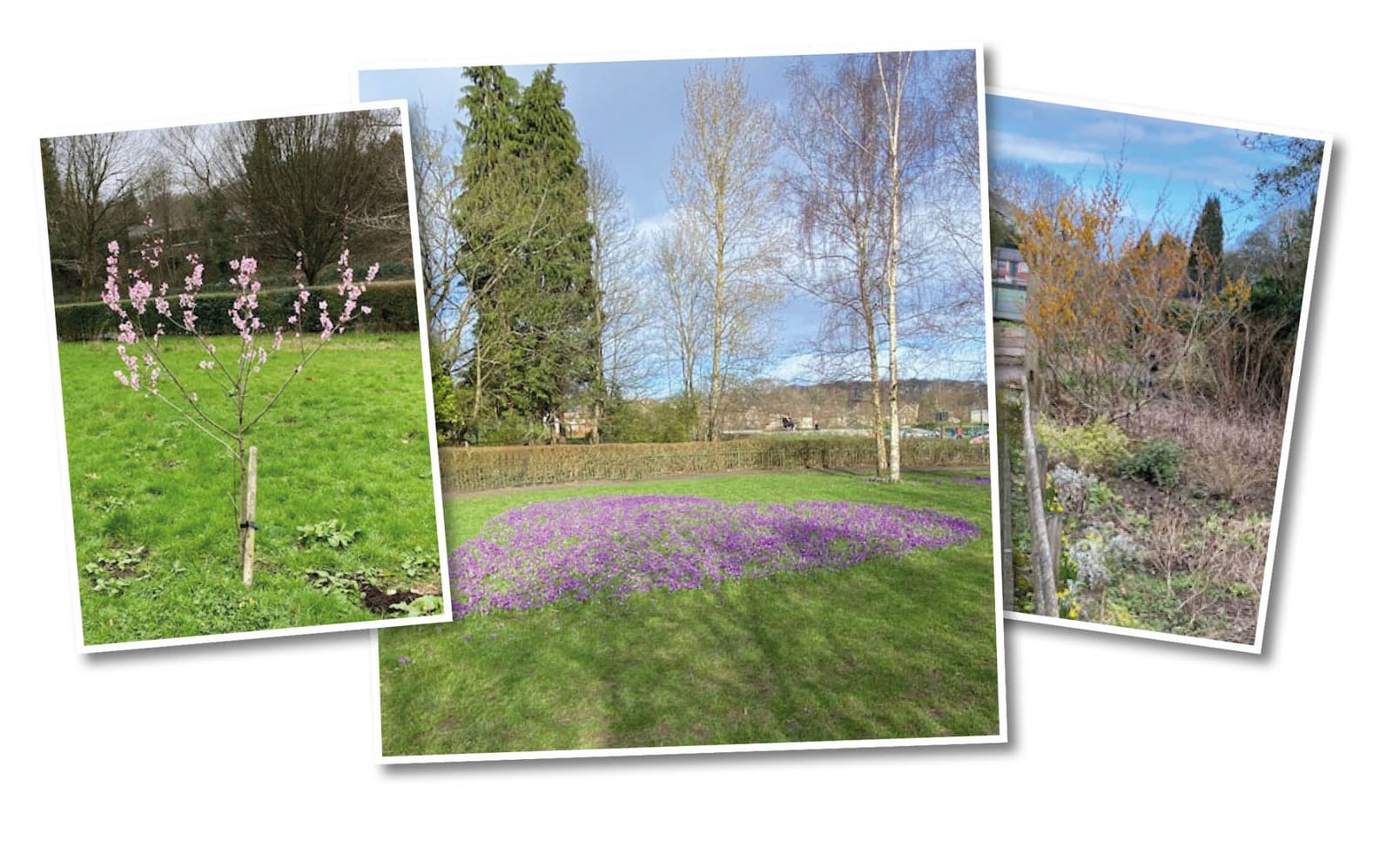 Millhouses Park Cafe photo 9