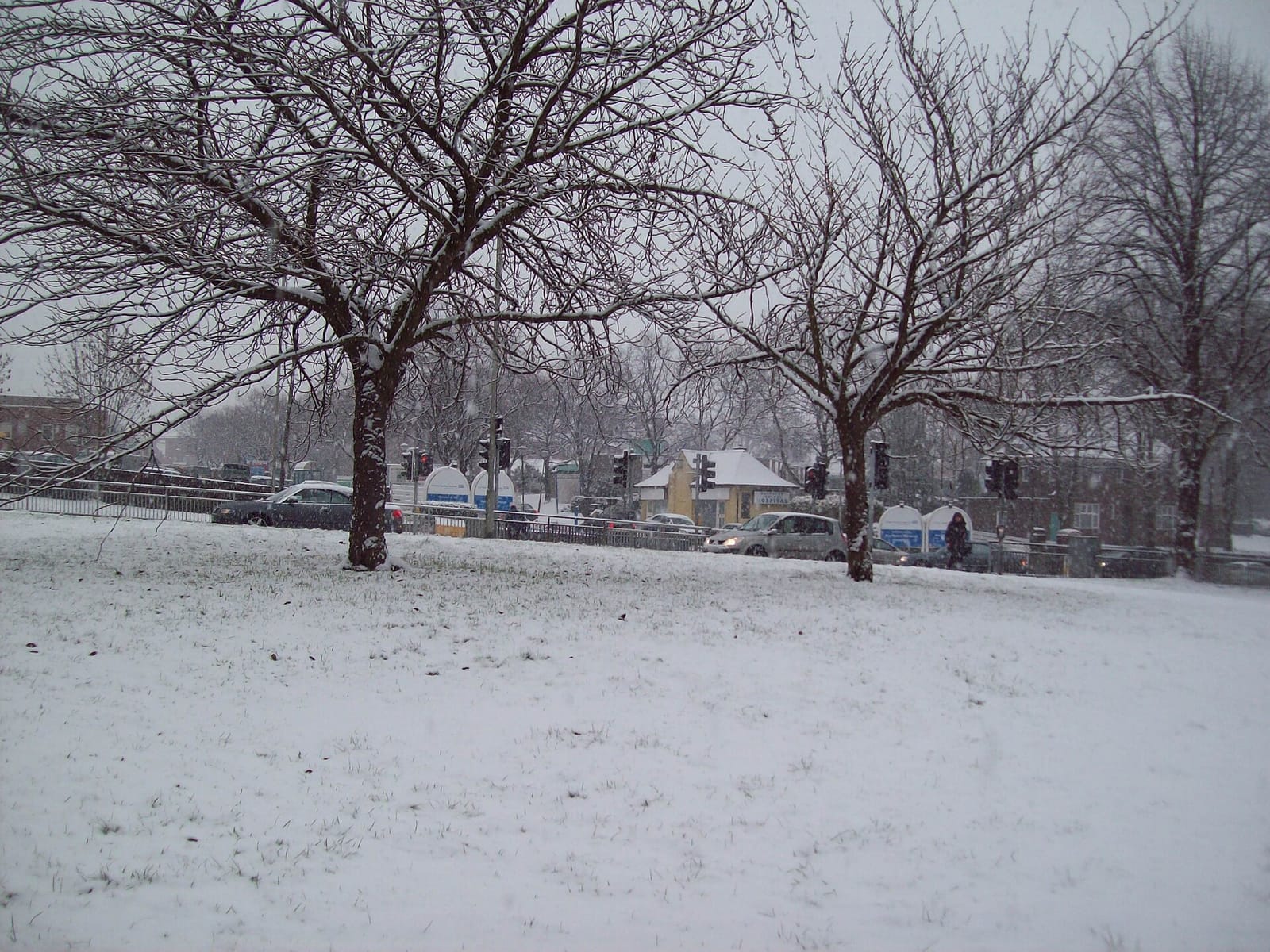 Northern Perk photo 2