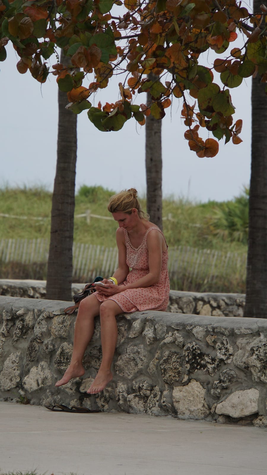 Dolce Vita Gelati photo 3