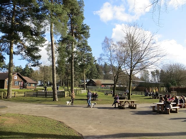 Grounds Café Birches Valley photo 3
