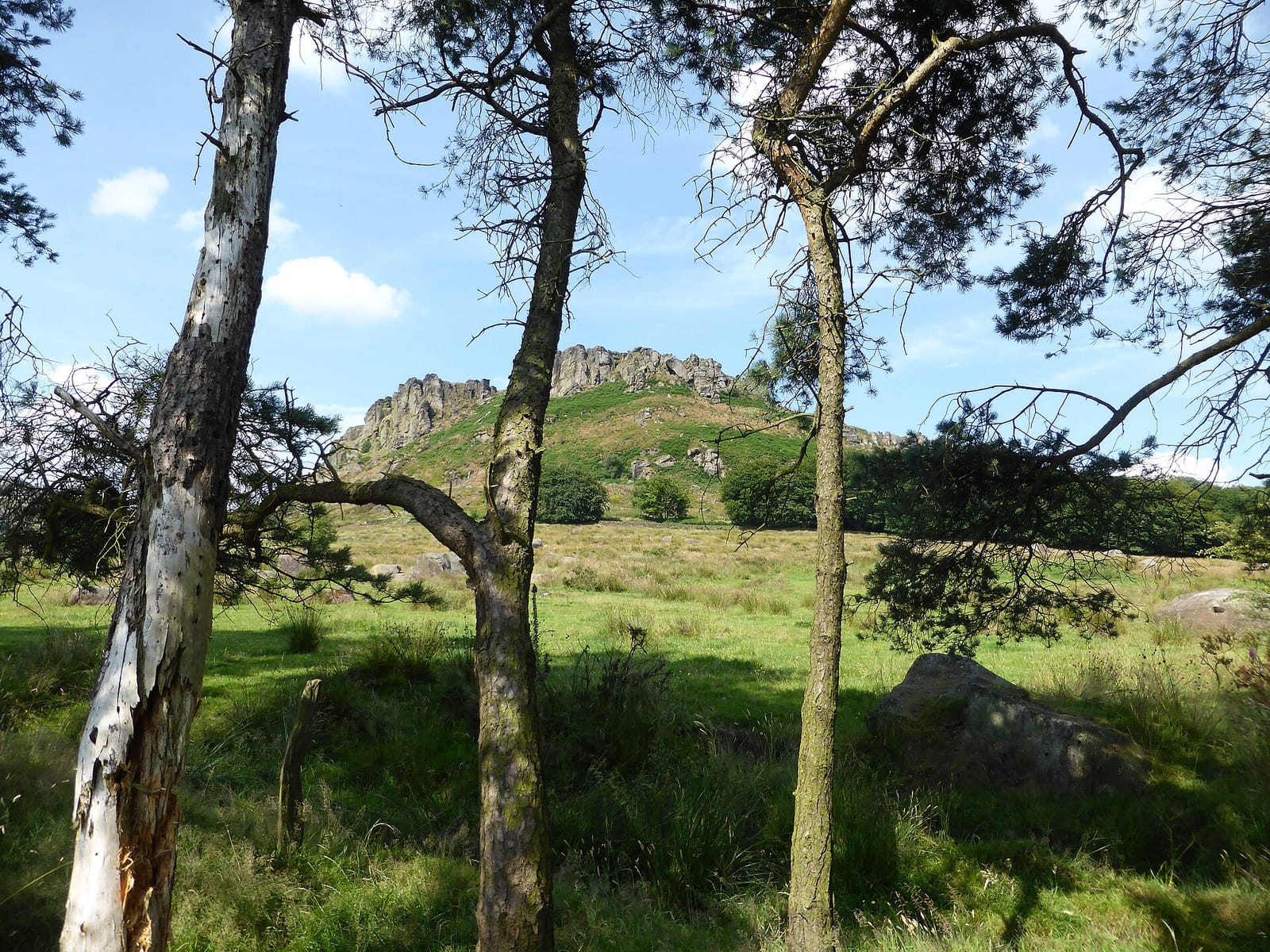 Roaches Tea Rooms photo 2