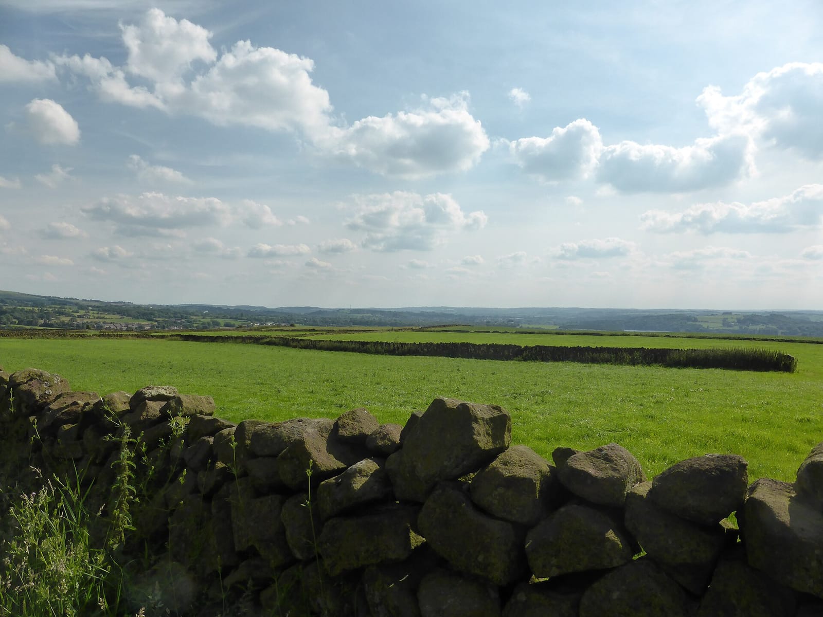 Roaches Tea Rooms photo 4