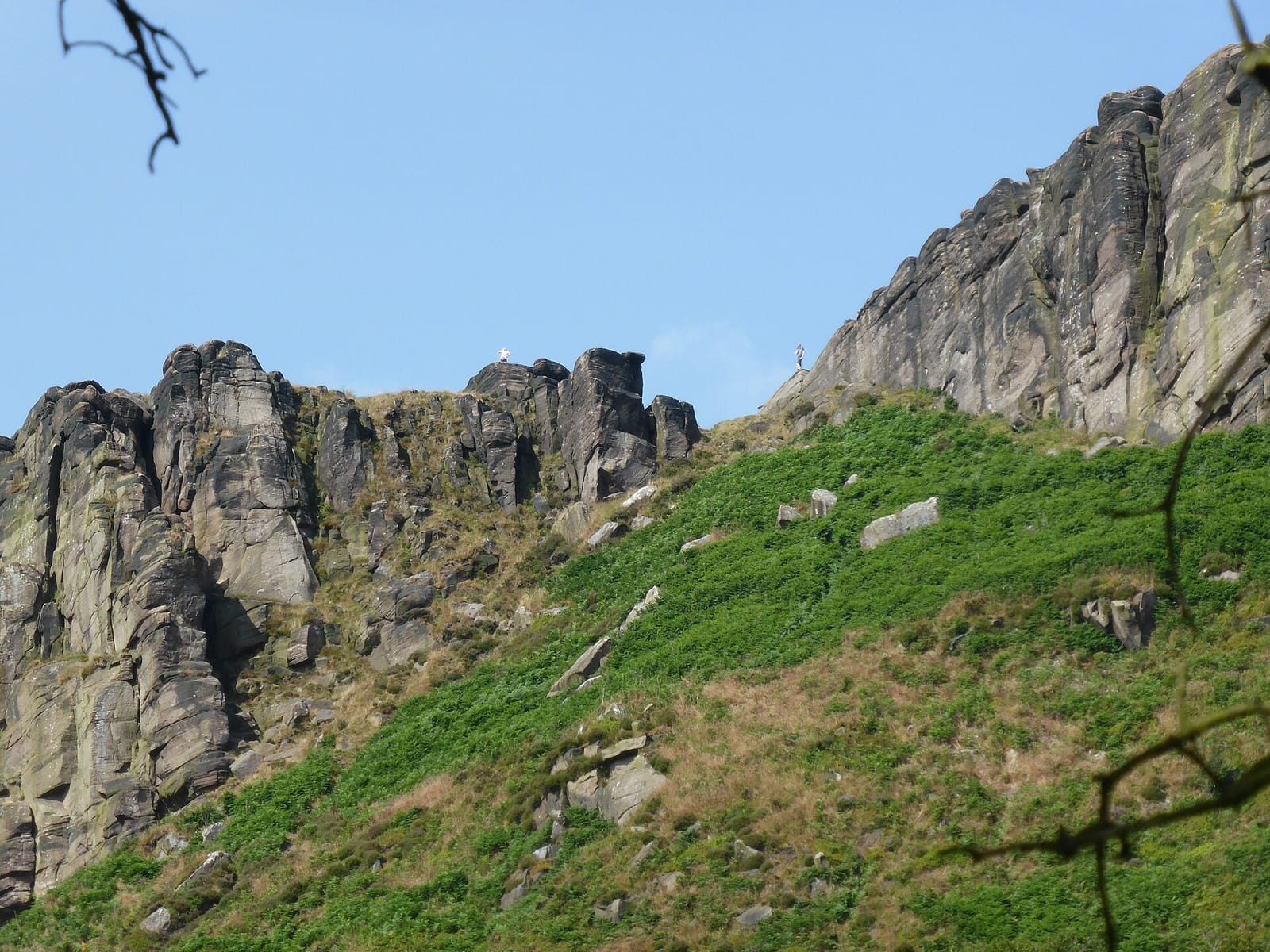 Roaches Tea Rooms photo 3