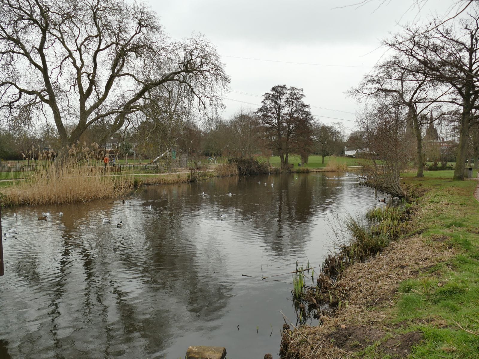 Lakeside Bistro photo 3