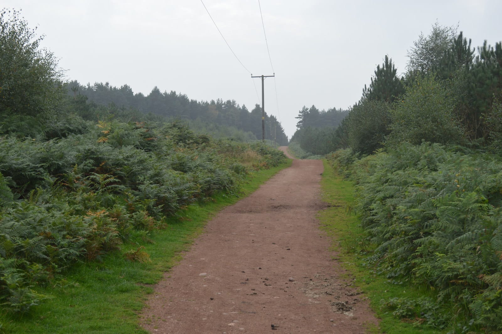 Spring Slade Lodge photo 3