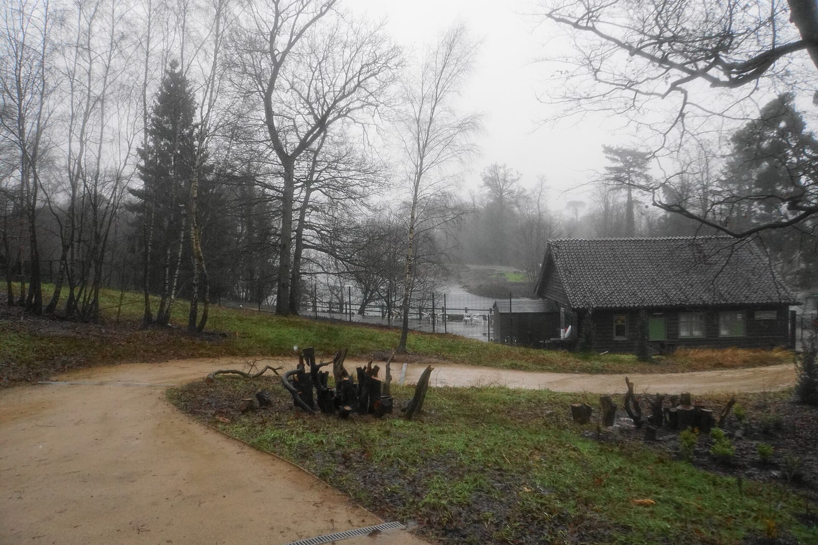 Lakeside Cafe photo 2
