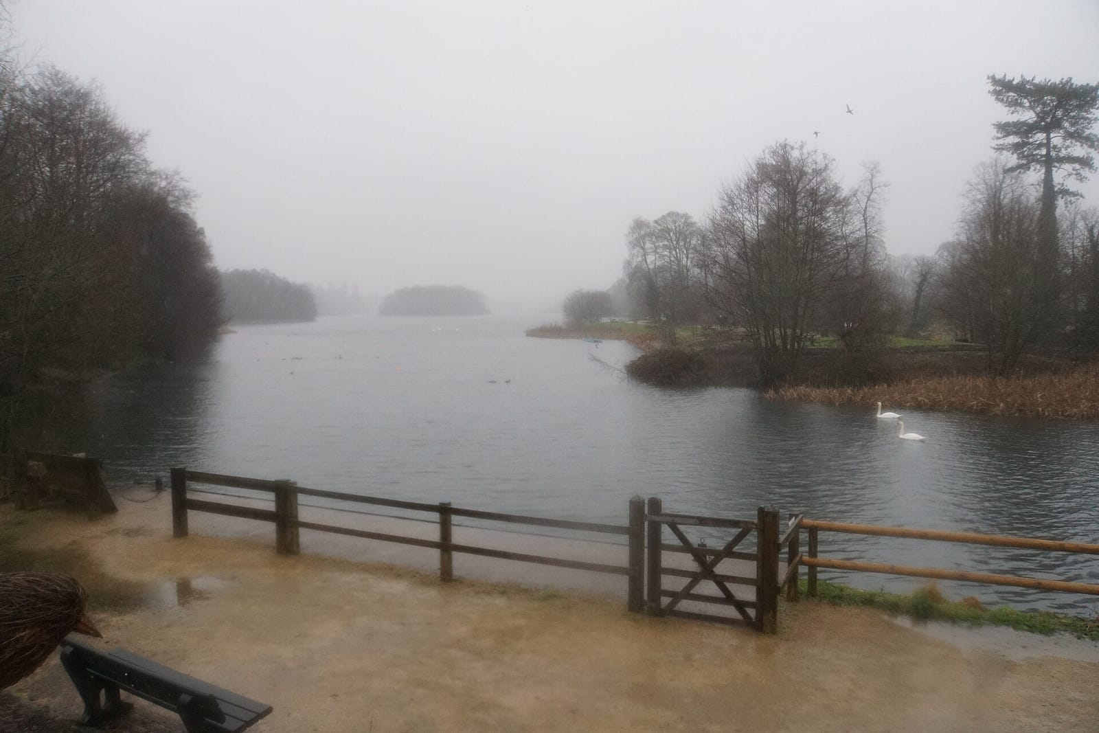Lakeside Cafe photo 3