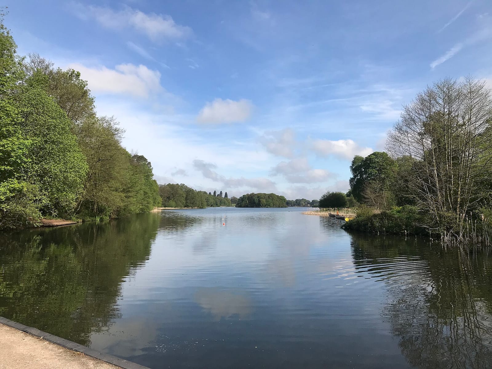 Lakeside Cafe photo 4